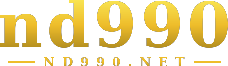 nd990 logo